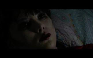 国产鬼片捉鬼视频播放,国产捉鬼神片，揭秘神秘鬼影背后的惊悚故事