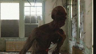 国产丧尸短视频大全最新,惊悚狂欢，揭秘末世生存法则