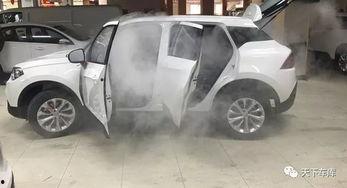 国产车甲醛超标事件视频,揭露车内空气质量隐患