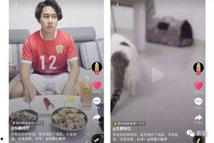 国产剧情反转短视频