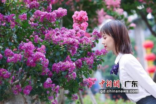 国产网红紫薇视频在线看