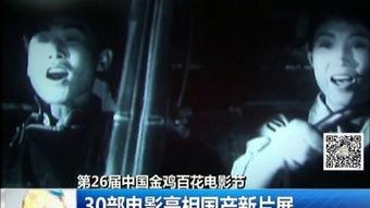 国产剧单眼瞄准视频大全,聚焦视觉冲击与情感共鸣的视听盛宴  第3张